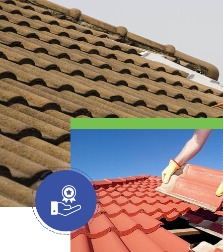 We-Protect-Roofs-Roofing-Protection-Program_05